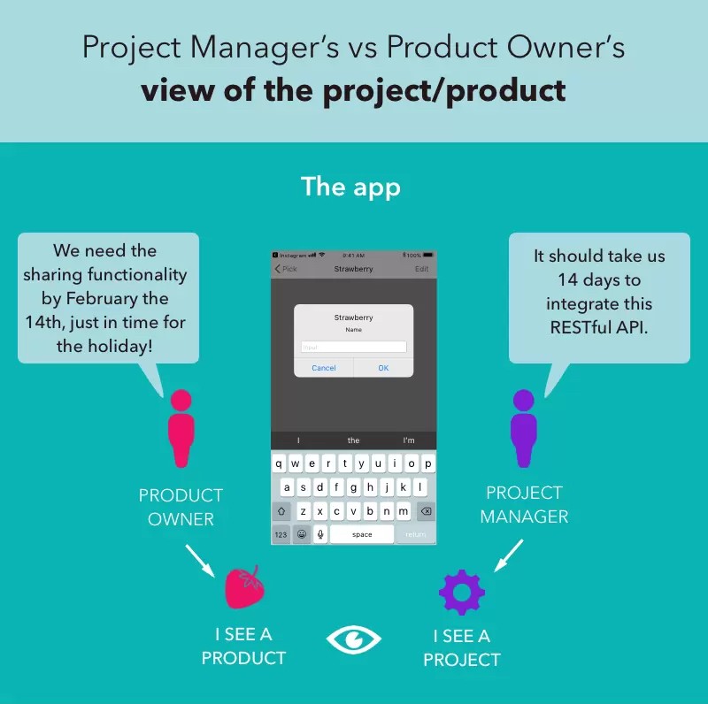 project manager vs product owner TechVision